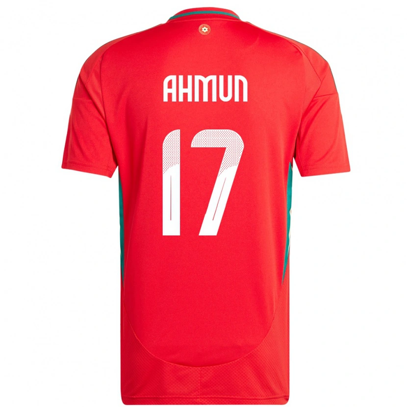 DanxenキッズウェールズBen Ahmun#17赤ホームシャツ24-26ジャージーユニフォーム