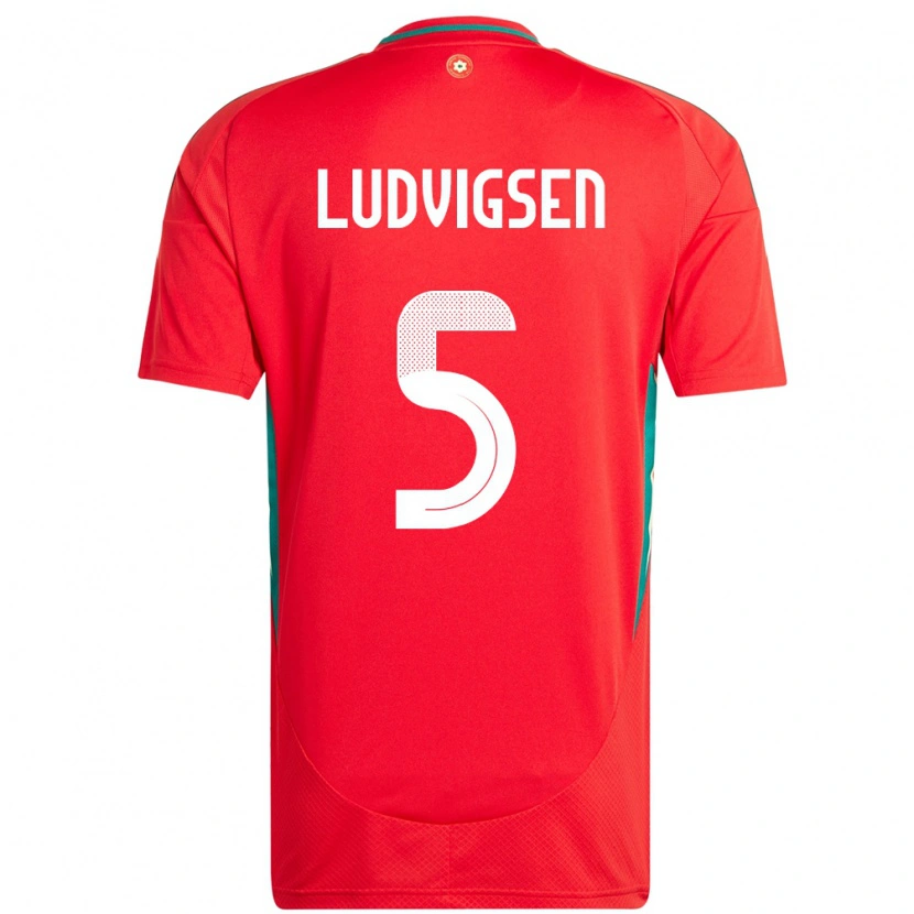 DanxenキッズウェールズKai Ludvigsen#5赤ホームシャツ24-26ジャージーユニフォーム