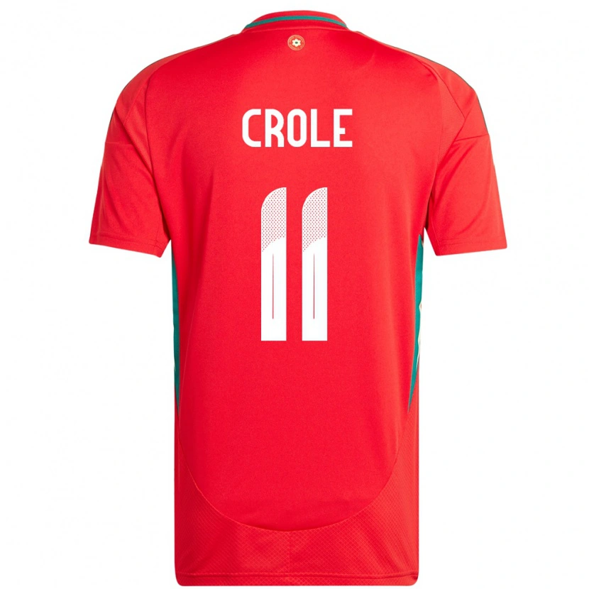 DanxenキッズウェールズJames Crole#11赤ホームシャツ24-26ジャージーユニフォーム