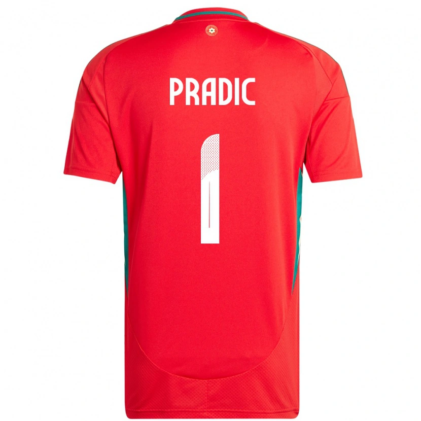 DanxenメンズウェールズJames Pradic#1赤ホームシャツ24-26ジャージーユニフォーム