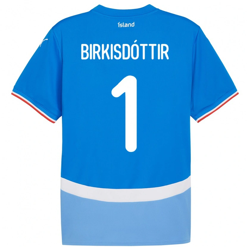 DanxenレディースアイスランドFanney Inga Birkisdóttir#1青ホームシャツ24-26ジャージーユニフォーム