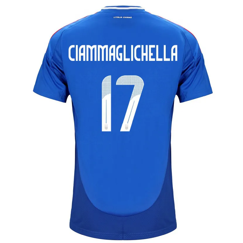 DanxenキッズイタリアAaron Ciammaglichella#17青ホームシャツ24-26ジャージーユニフォーム