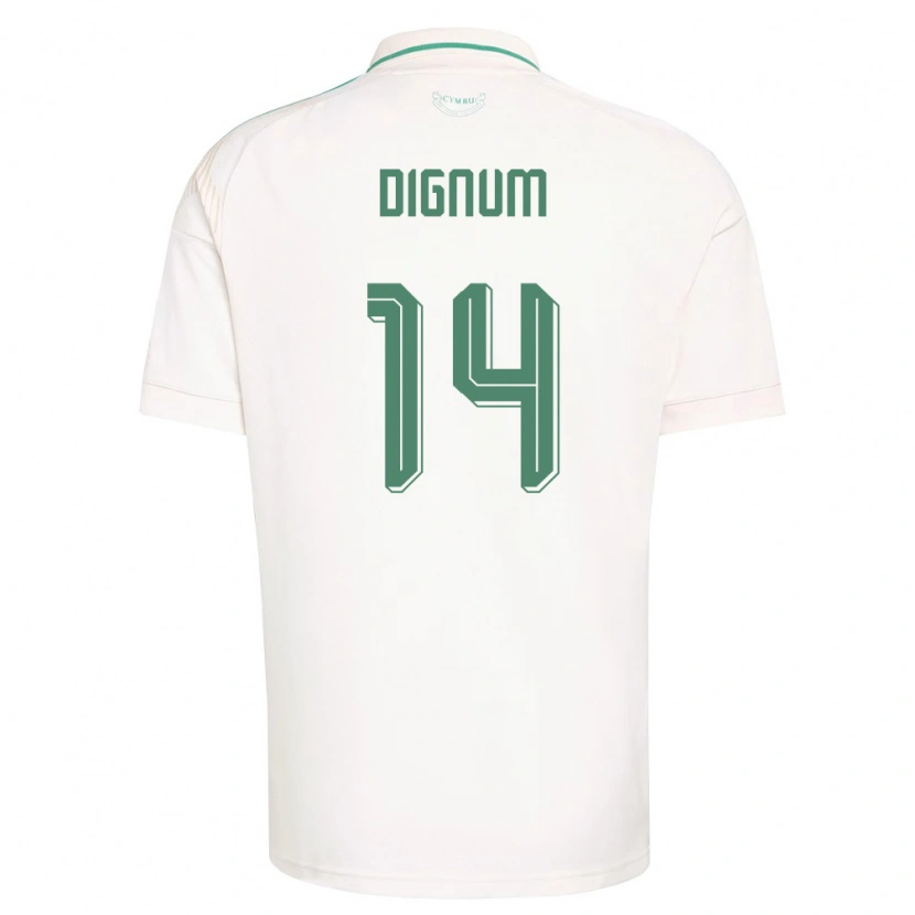 DanxenキッズウェールズAlfie Dignum#14白 茶 緑アウェイシャツ26-28ジャージーユニフォーム
