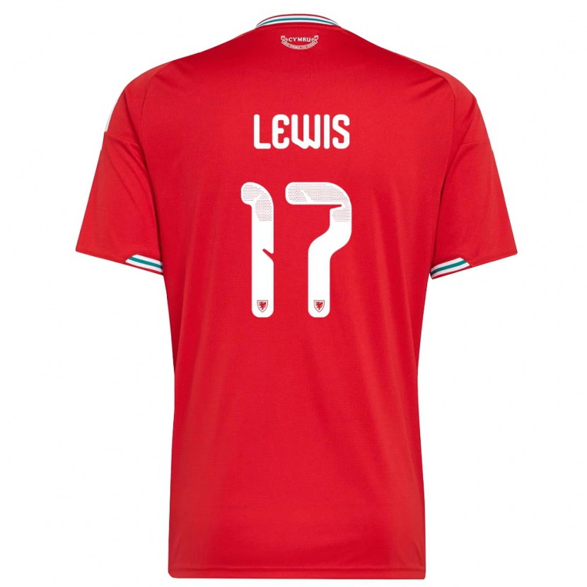 DanxenメンズウェールズBobby Lewis#17赤 白 緑ホームシャツ26-28ジャージーユニフォーム