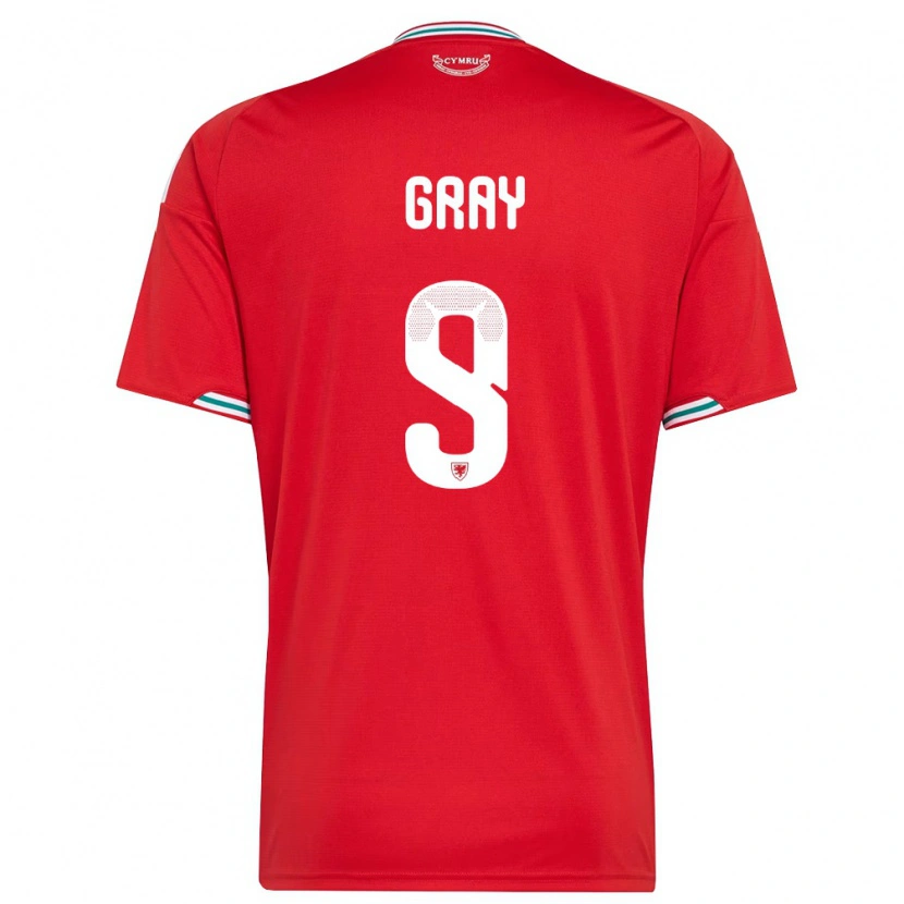 DanxenレディースウェールズHarvey Gray#9赤 白 緑ホームシャツ26-28ジャージーユニフォーム