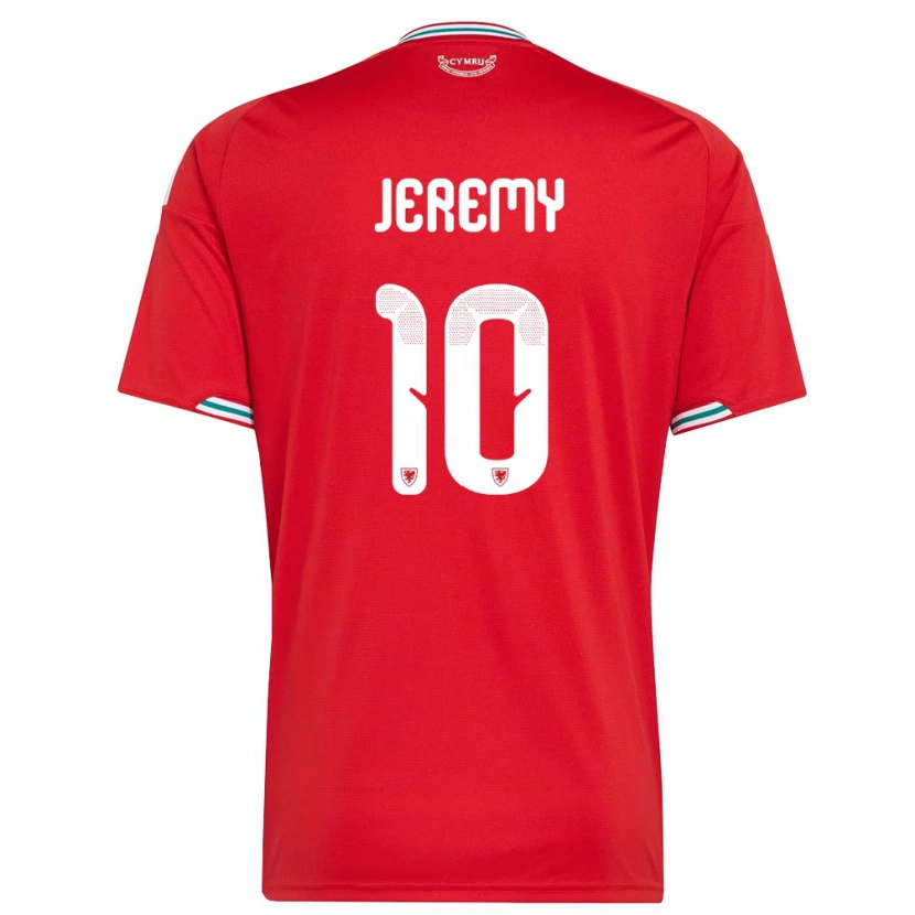 DanxenレディースウェールズDayton Jeremy#10赤 白 緑ホームシャツ26-28ジャージーユニフォーム