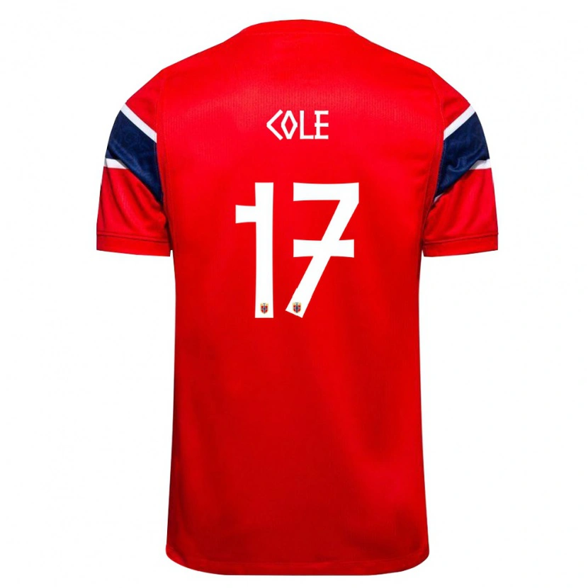 DanxenメンズノルウェーAlan Cole#17赤 紺 白ホームシャツ26-28ジャージーユニフォーム
