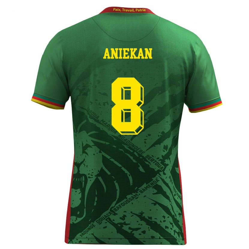 DanxenキッズカメルーンStephan Aniekan#8緑 黄 赤ホームシャツ26-28ジャージーユニフォーム