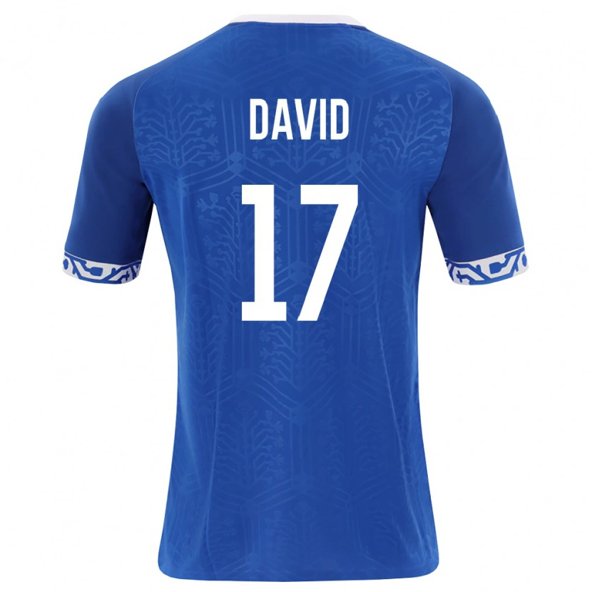 DanxenキッズモルドバOvidiu David#17ロイヤルブルー 白ホームシャツ26-28ジャージーユニフォーム