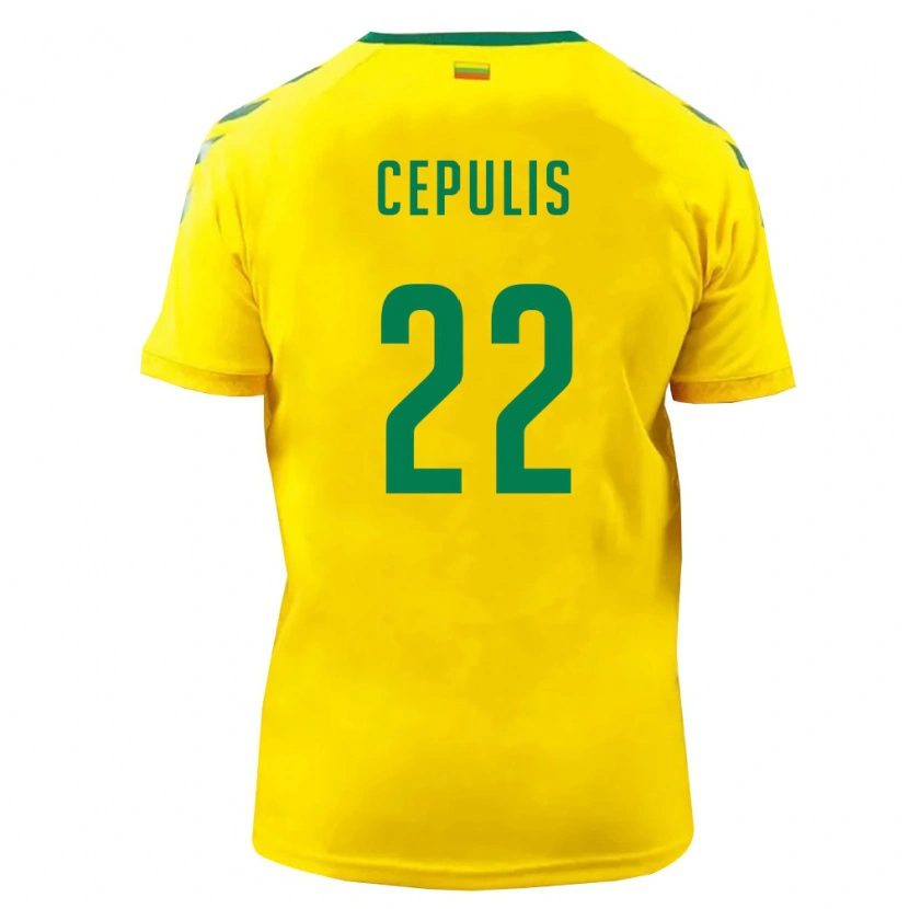 DanxenキッズリトアニアKristupas Cepulis#22黄 緑ホームシャツ26-28ジャージーユニフォーム