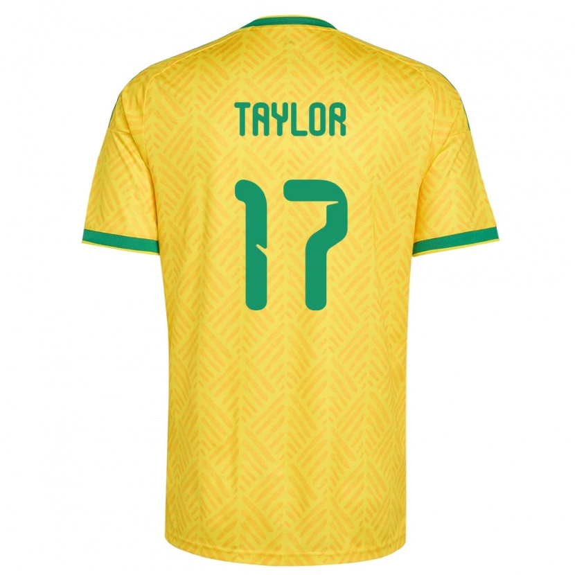 Danxenメンズ南アフリカJoshua Taylor#17黄 緑ホームシャツ26-28ジャージーユニフォーム