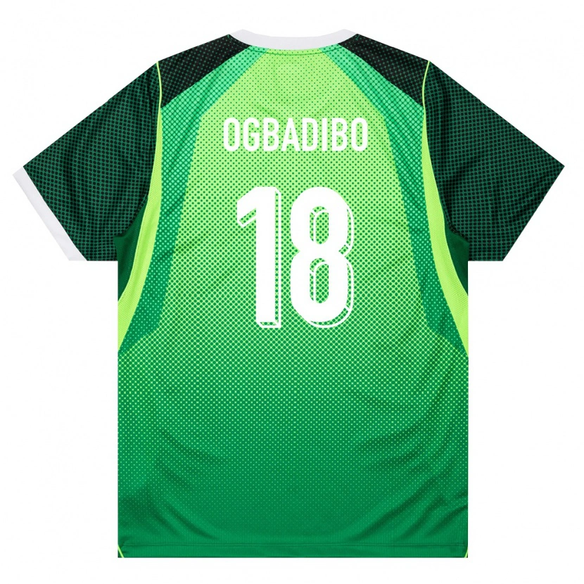 DanxenメンズナイジェリアTochukwu Ogbadibo#18緑 白ホームシャツ26-28ジャージーユニフォーム