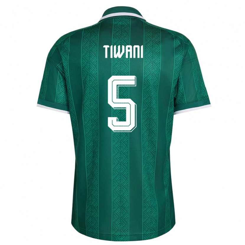 Danxenメンズ南アフリカAsekho Tiwani#5緑 白 金アウェイシャツ26-28ジャージーユニフォーム