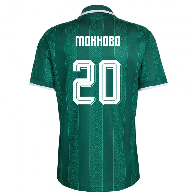 Danxenメンズ南アフリカSello Mokhobo#20緑 白 金アウェイシャツ26-28ジャージーユニフォーム