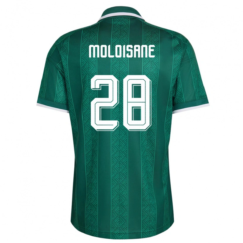 Danxenメンズ南アフリカThabo Moloisane#28緑 白 金アウェイシャツ26-28ジャージーユニフォーム