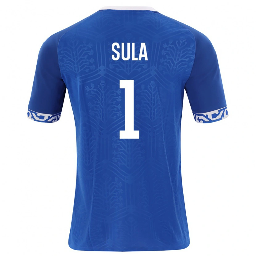 DanxenレディースモルドバHector Sula#1ロイヤルブルー 白ホームシャツ26-28ジャージーユニフォーム
