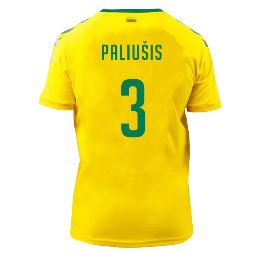 DanxenレディースリトアニアNaglis Paliušis#3黄 緑ホームシャツ26-28ジャージーユニフォーム