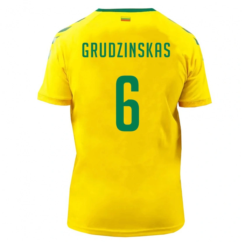 DanxenレディースリトアニアDovas Grudzinskas#6黄 緑ホームシャツ26-28ジャージーユニフォーム
