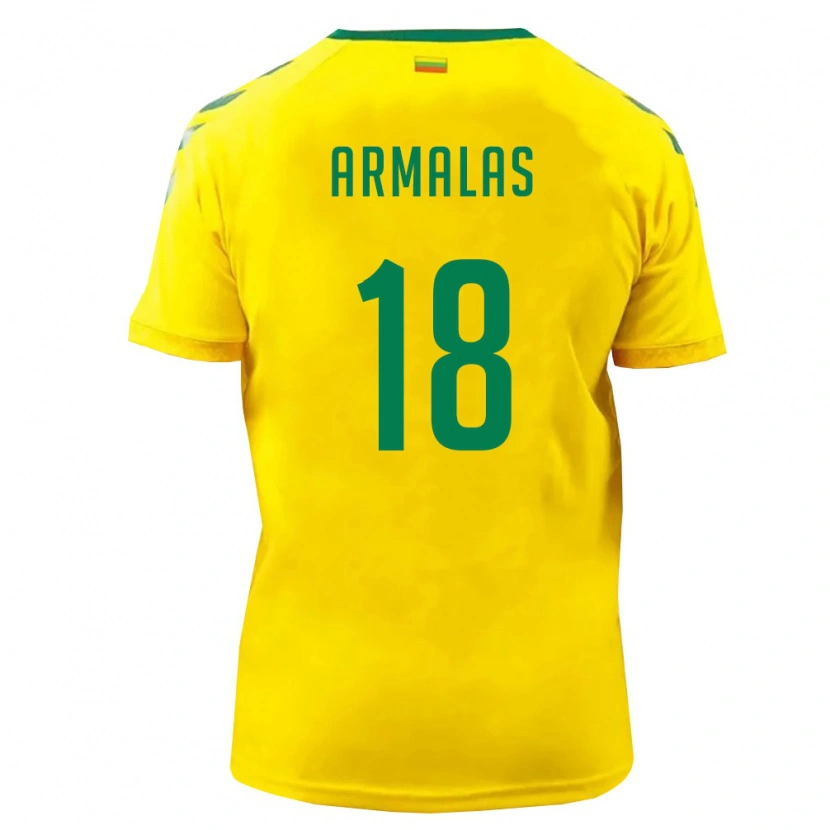 DanxenレディースリトアニアVilius Armalas#18黄 緑ホームシャツ26-28ジャージーユニフォーム