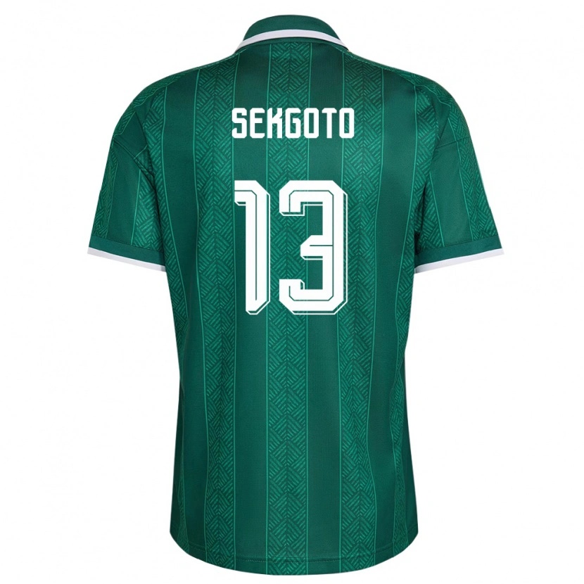 Danxenレディース南アフリカOmphemetse Sekgoto#13緑 白 金アウェイシャツ26-28ジャージーユニフォーム