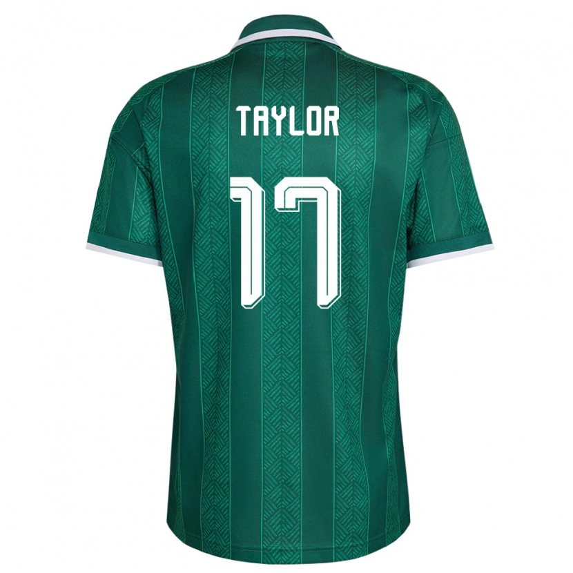 Danxenレディース南アフリカJoshua Taylor#17緑 白 金アウェイシャツ26-28ジャージーユニフォーム