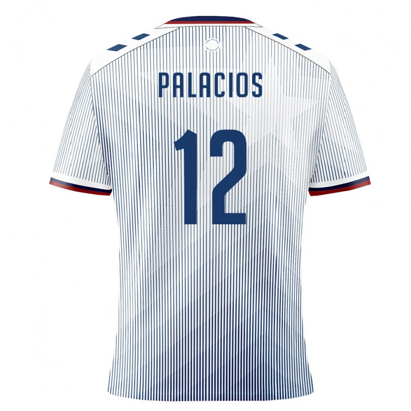 DanxenレディースプエルトリコDenzel Palacios#12ロイヤルブルー 白アウェイシャツ26-28ジャージーユニフォーム