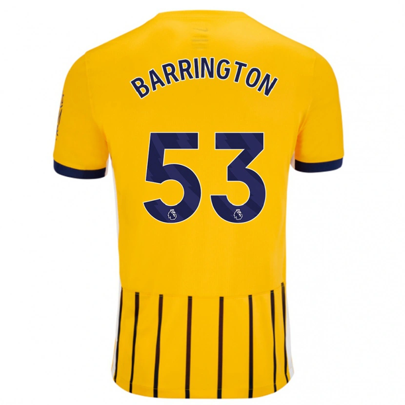 Danxenキッズルカ・バーリントン#53金と青のピンストライプアウェイシャツ2024/25ジャージーユニフォーム