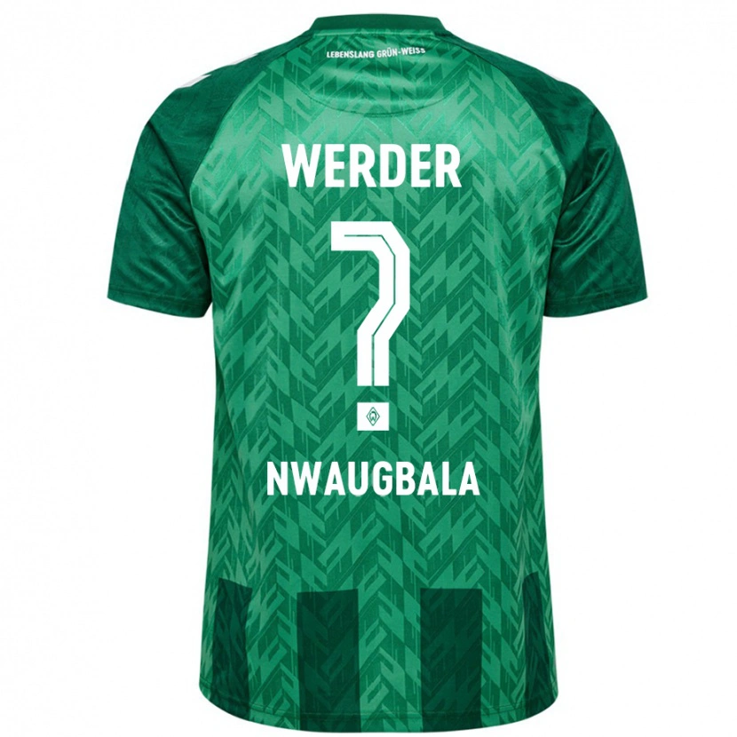 DanxenメンズKevin Nwaugbala#0緑ホームシャツ2024/25ジャージーユニフォーム