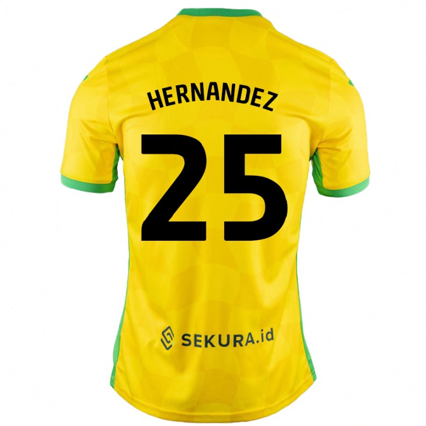 Danxenレディースオネル・エルナンデス#25黄緑ホームシャツ2024/25ジャージーユニフォーム
