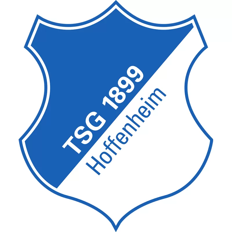 ホッフェンハイムTSG1899